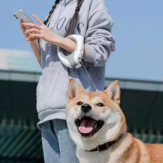 Smart Leash™